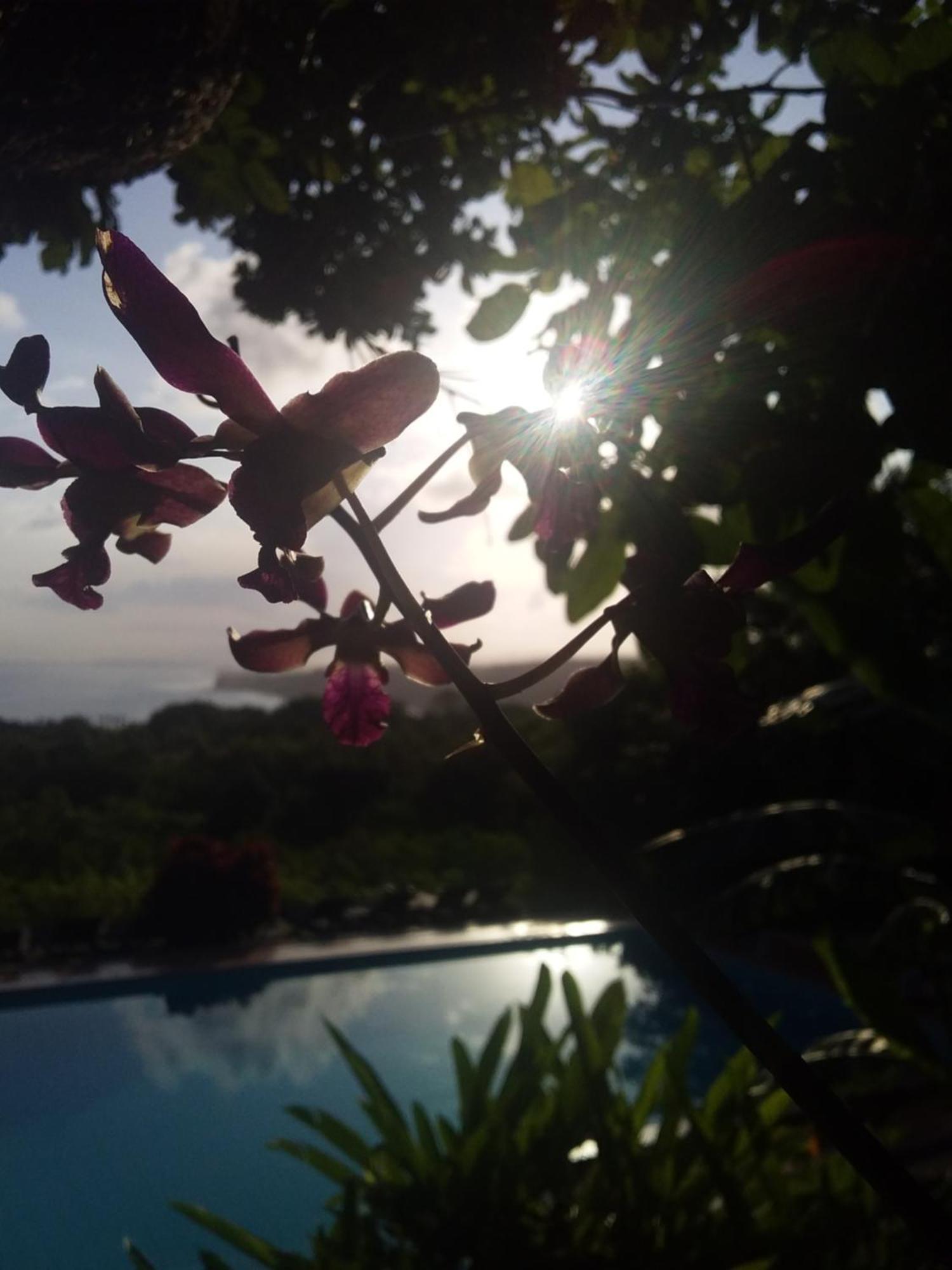 Sumba Nautil Resort Deke エクステリア 写真